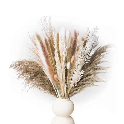 Dry Flower
